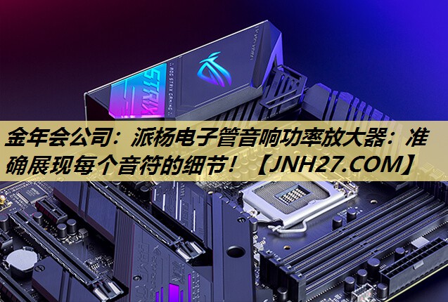 金年会公司：派杨电子管音响功率放大器：准确展现每个音符的细节！