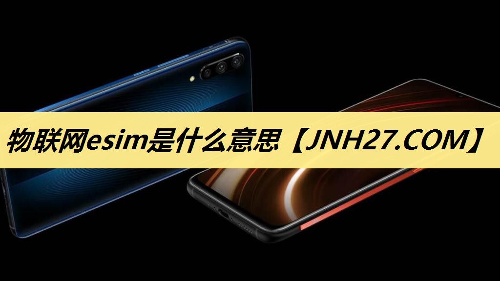 物联网esim是什么意思