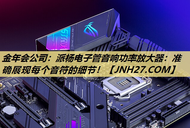 派杨电子管音响功率放大器：准确展现每个音符的细节！