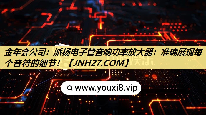 派杨电子管音响功率放大器：准确展现每个音符的细节！