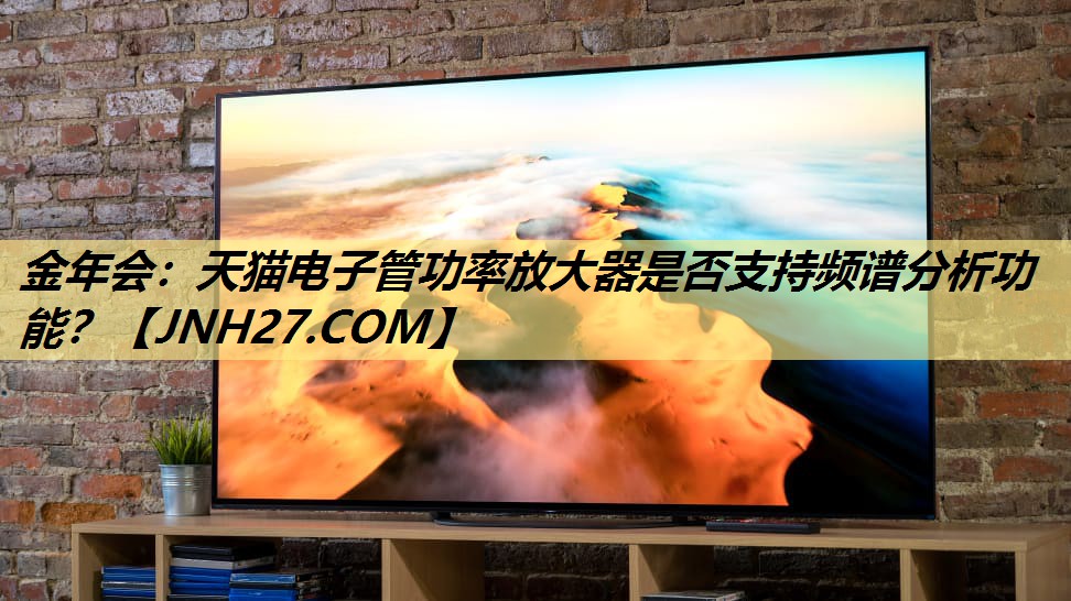 天猫电子管功率放大器是否支持频谱分析功能？